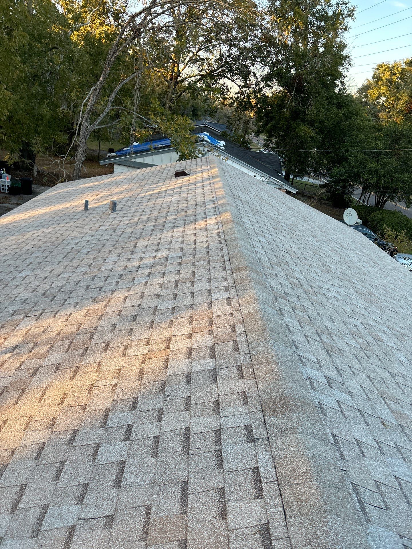 Shingle Roof Jacksonville